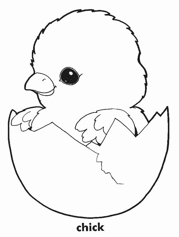 Baby Chick Coloring Page Beautiful Printable Of Baby Chicks